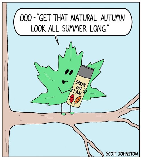 "ooo - 'Get that natural autumn look all summer long'."