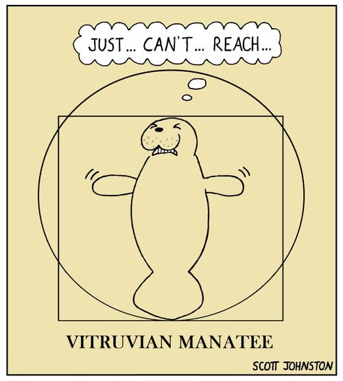 Vitruvian Manatee