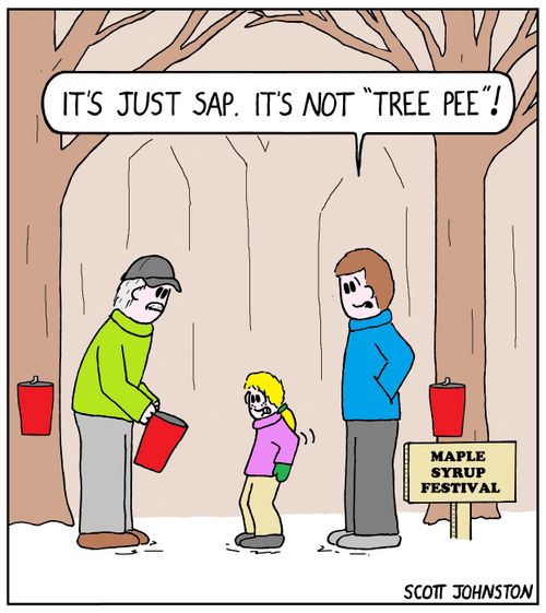 "It's just sap. It's not 'tree pee'!"