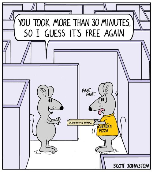 "You took more than 30 minutes, so I guess it's free again."
