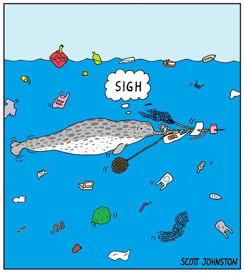 A narwhal gets caught to litter as he swims through the ocean.