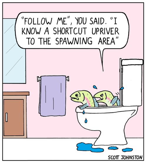 "'Follow me', you said. 'I know a shortcut upriver to the spawning area'."