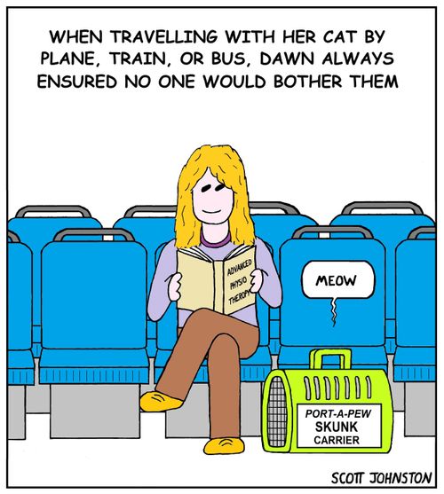When travelling with her cat by plane, train, or bus, dawn always ensured no one would bother them.