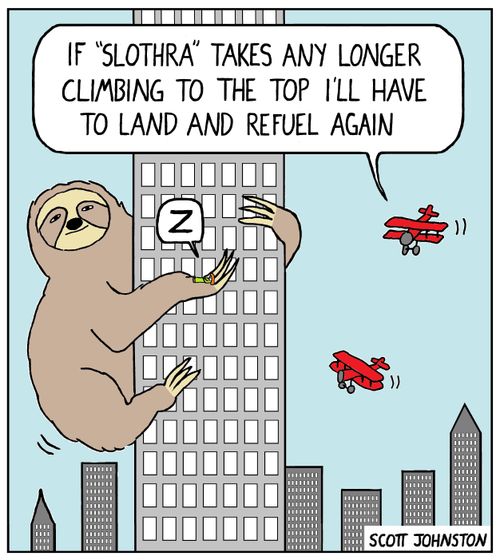 "If 'Slothra' takes any longer climbing to the top I'll have to land and refuel again."