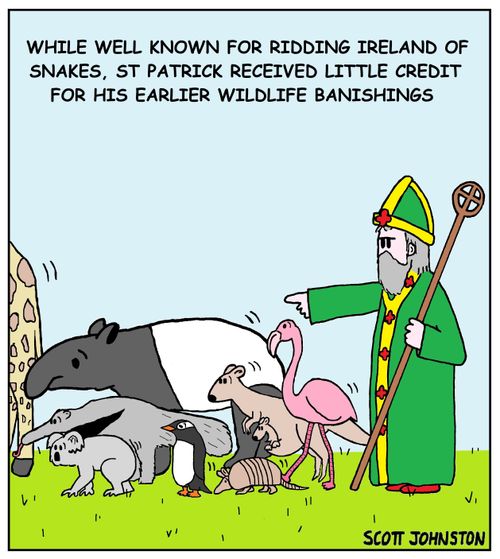 "While well known for ridding Ireland of snakes, St Patrick received little credit for his earlier wildlife banishings."
