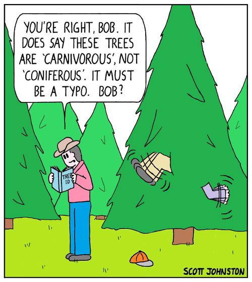 "You're right, Bob. It does say these trees are 'carnivorous', not 'coniferous'. It must be a typo. Bob?"