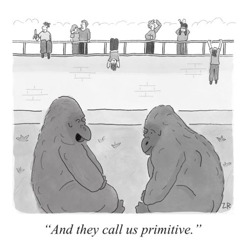 "And they call us primitive."