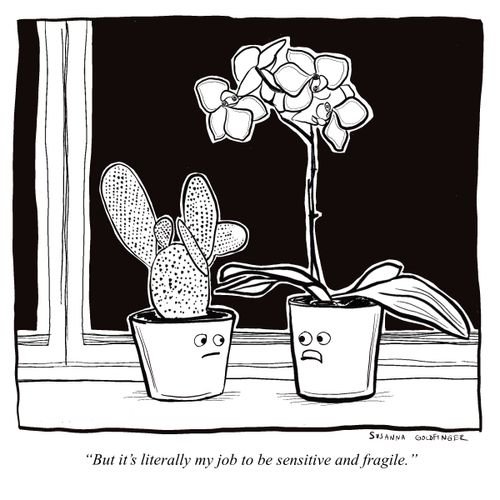 "But it's literally my job to be sensitive and fragile."