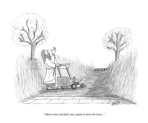 "Moses tries and fails once again to mow his lawn."