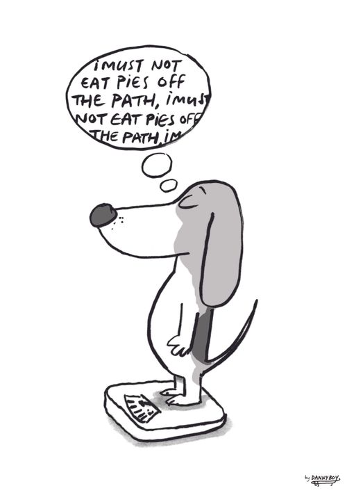 "I must not eat pies off the path, I must not eat pies off the path..."