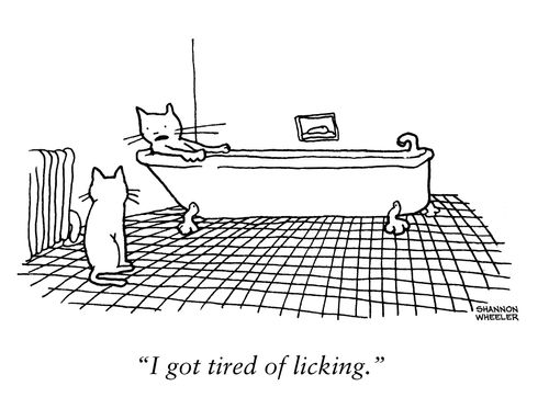 "I got tired of licking."