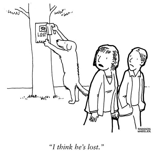 "I think he's lost."