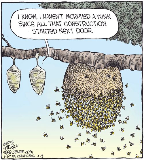 "I know, I haven't morphed a wink since all that construction started next door."