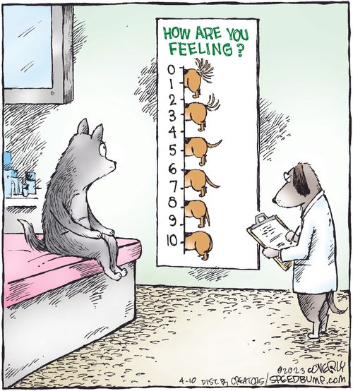 How Are You Feeling?
