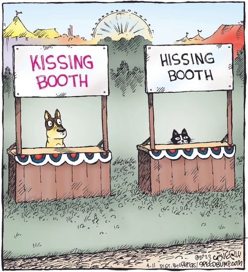 Kissing Booth/Hissing Booth