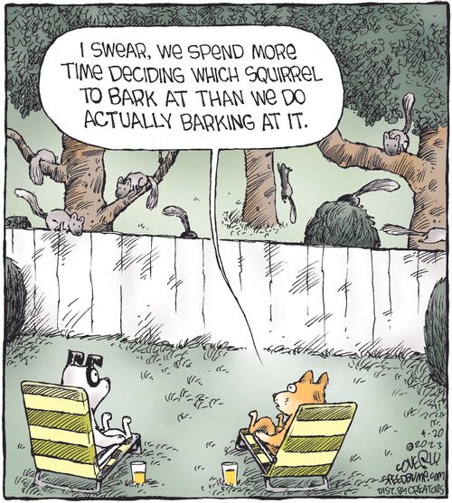 "I swear, we spend more time decided which squirrel to bark at than we do actually barking at it."