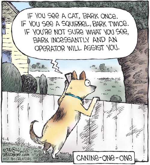 "If you see a cat, back once. If you see a squirrel, bark twice. If you're not sure what you see, bark incessantly and an operator will assist you."