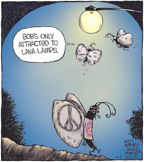 "Bob's only attracted to lava lamps."