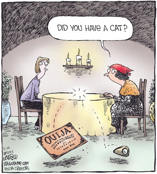 "Did you have a cat?"