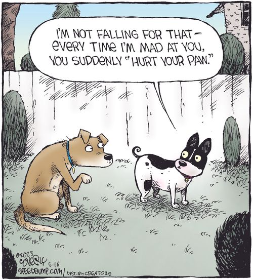 "I'm not falling for that - every time I'm mad at you, you suddenly 'hurt your paw'."