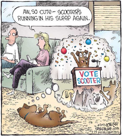 "Aw, so cute  - scooter's running in his sleep again."