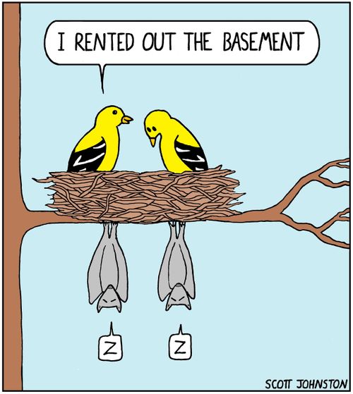"I rented out the basement."