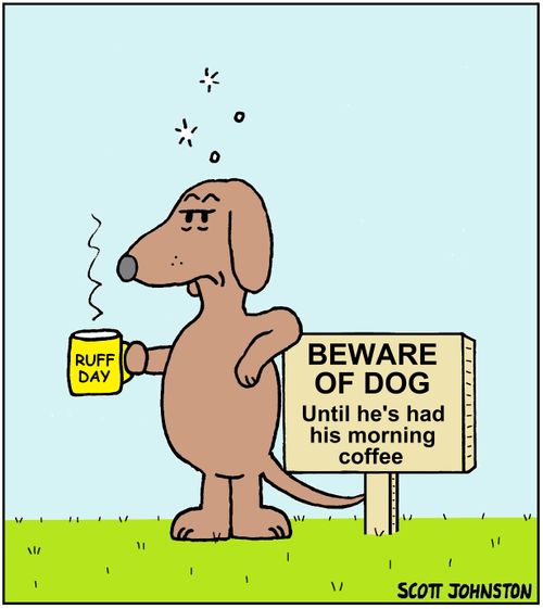 Beware of Dog: Until he's had his morning coffee.