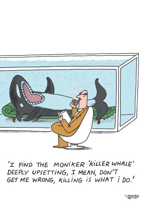 "I find the moniker 'Killer Whale' deeply upsetting, I mean, don't get me wrong, killing is what I do."