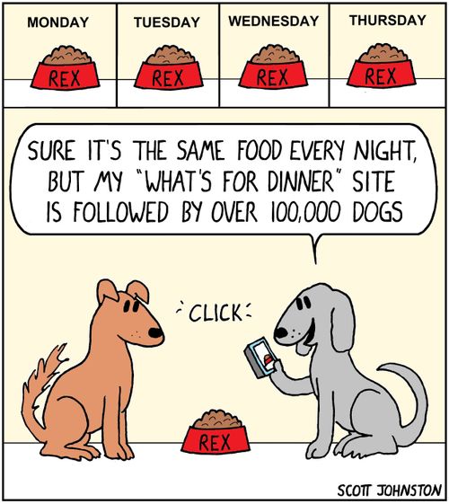 "Sure it's the same food every night, but my 'what's for dinner' site is followed by over 100,000 dogs."