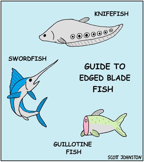 Guide to Edged Blade Fish