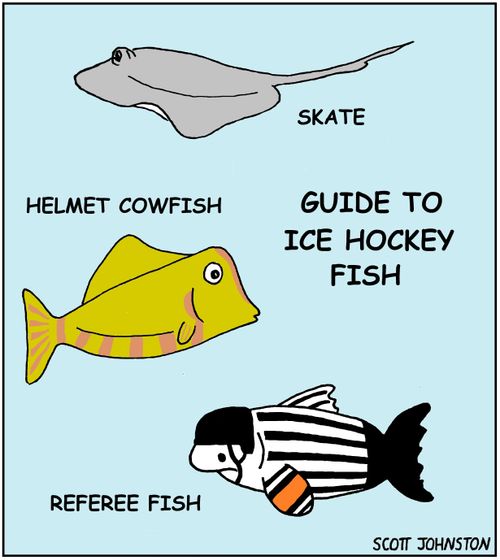 Guide to Ice Hockey Fish