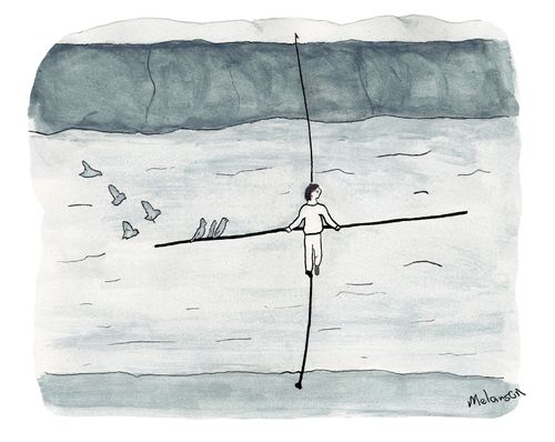 High Wire Act and Birds