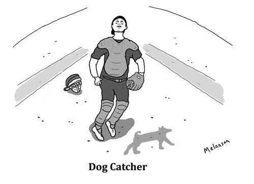 Dog Catcher