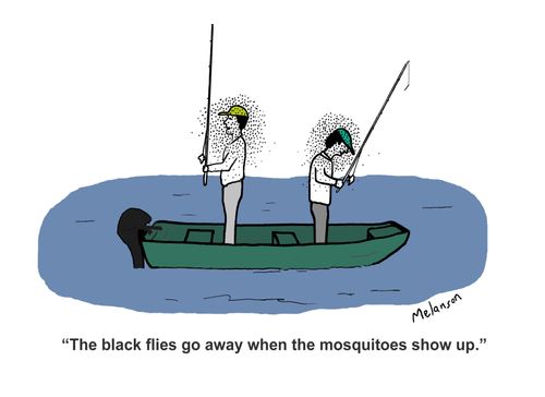 "The black flies go away when the mosquitoes show up."