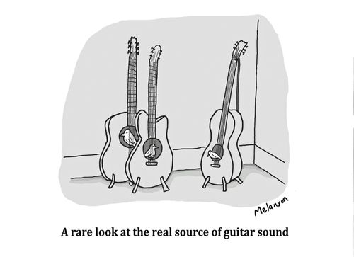 A rare look at the real source of guitar sound.