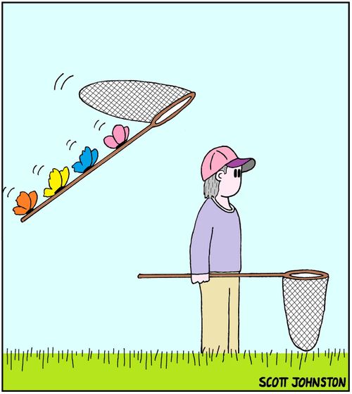 The Butterflies' Revenge