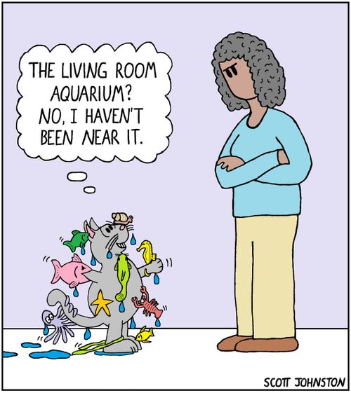 "The living room aquarium? No, I have't bee near it."