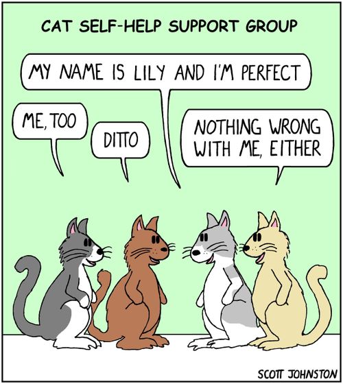 Cat Self-Help Support Group