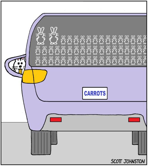 Bunny Bumper Stickers