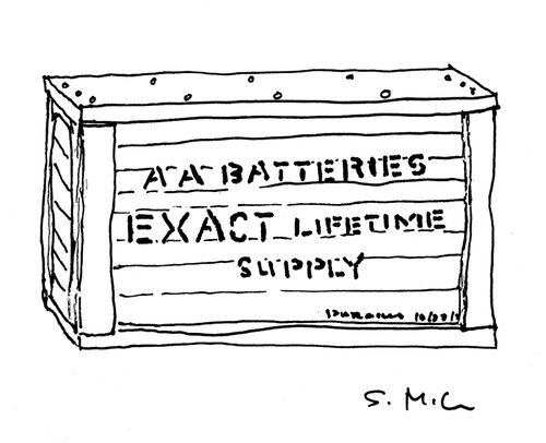 AA Batteries EXACT Lifetime Supply 