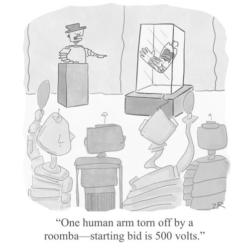 "One human arm torn off by a roomba - starting bid is 500 volts."