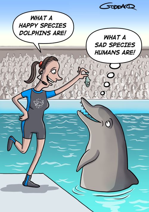 "What a sad species humans are!"
