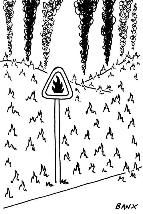 Wildfires