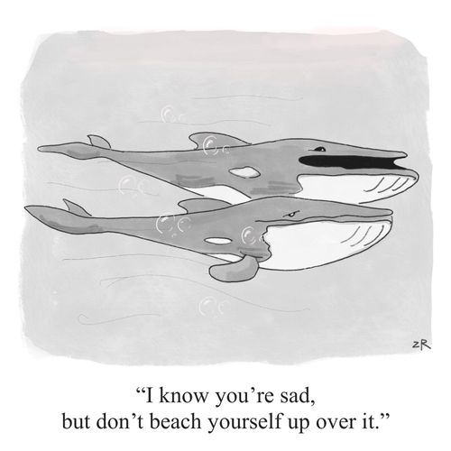 "I know you're sad, but don't beach yourself up over it."