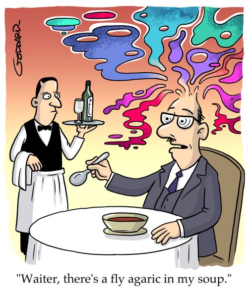 "Waiter, there's a fly agaric in my soup."