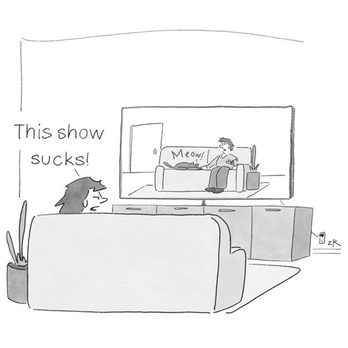 "This show sucks!"