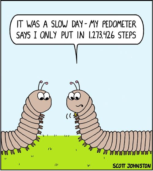 "It was a slow day - my pedometer says I only put in 1,273,426 steps."