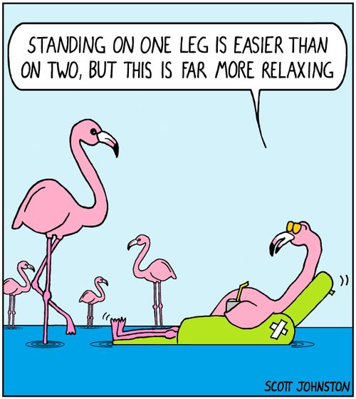 "Standing on one leg is easier than on two, but this far more relaxing."