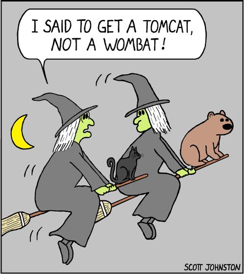 "I said to get a Tomcat, not a wombat!"