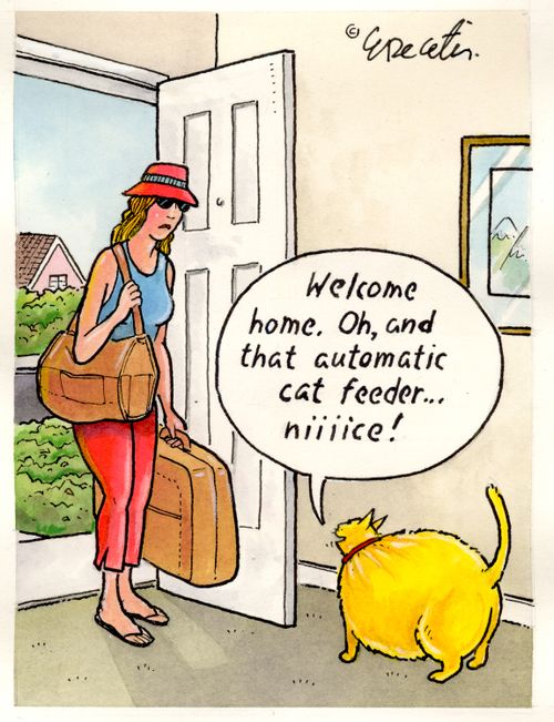 "Welcome home, oh, and that automatic cat feeder....niiiice!"
